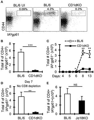 The Variable Genomic NK Cell Receptor Locus Is a Key Determinant of CD4+ T Cell Responses During Viral Infection